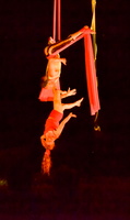 Silks