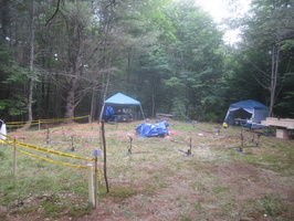 IMG 4739