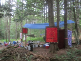 IMG 4768
