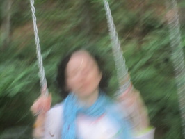IMG 4773