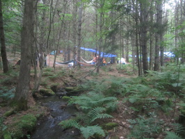 IMG 4780