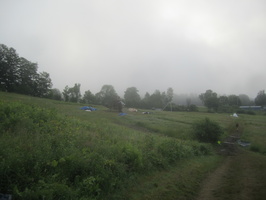 IMG 4781