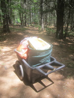 IMG 4971