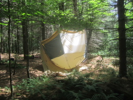 IMG 4970