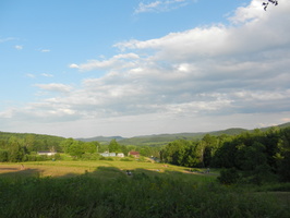 DSCN0217