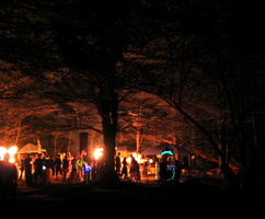 2011-07-03-8