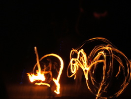 DSCF1101a