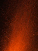 DSCF1126a