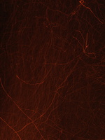 DSCF1127a