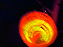 DSCF1139a