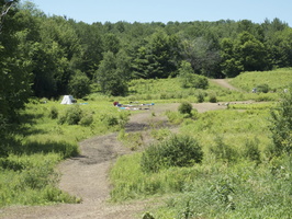 IMG 0597