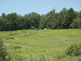 IMG 0598