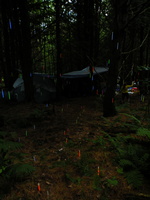 glow camp 1