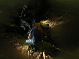 the stream - guy waterfall