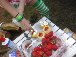 IMG 4094