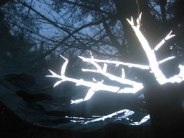 Sarah Hapto's Photos