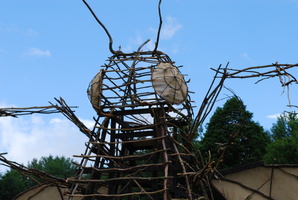 DSC 0040