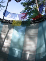 IMG 9052