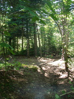 DSC05712