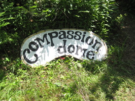 Radical Participation