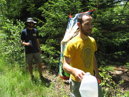 IMG 0618