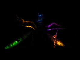 bug at night