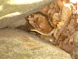 DSC02617