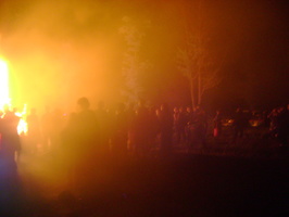 DSC02118