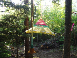 firefly08 007