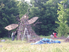 firefly08 085