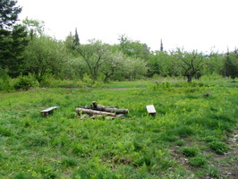 IMG 0949
