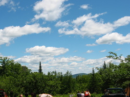 IMG 4256