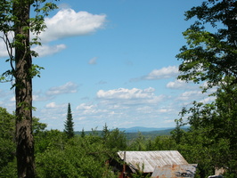 IMG 4272