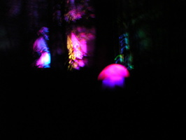 DSCN2782