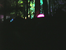 DSCN2783