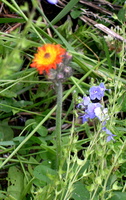 DSCN2821