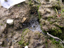 DSCN0545