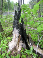 DSCN0588