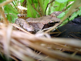 DSCN0614