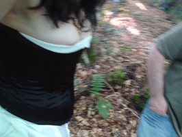 DSC09231