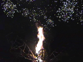 FireflyFireworks1