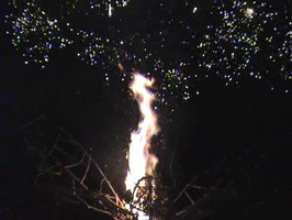FireflyFireworks2