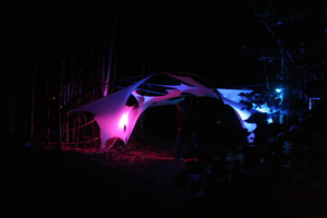 Firefly 2007 - 9