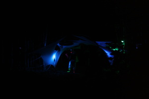 Firefly 2007 - 13