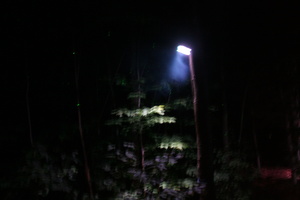Firefly 2007 - 27