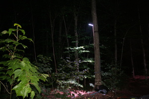 Firefly 2007 - 26