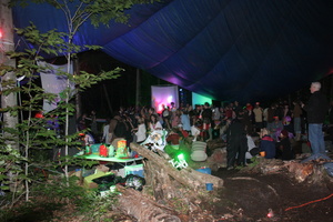 Firefly 2007 - 38