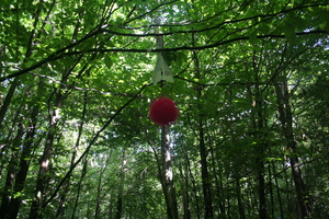Firefly 2007 - 80