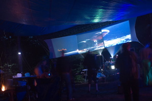 firefly049