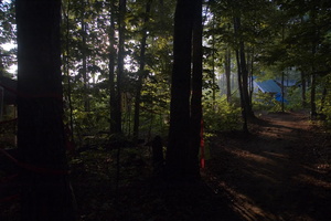 firefly096